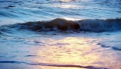 Home and Away 8597 9th October 2025