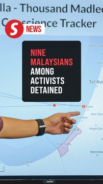 Freedom Flotilla: Activists transferred to Ketziot prison