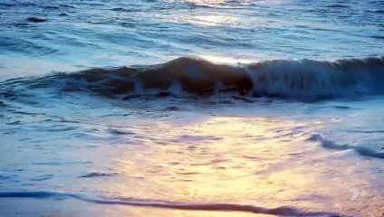 Home and Away 8599 9th October 2025