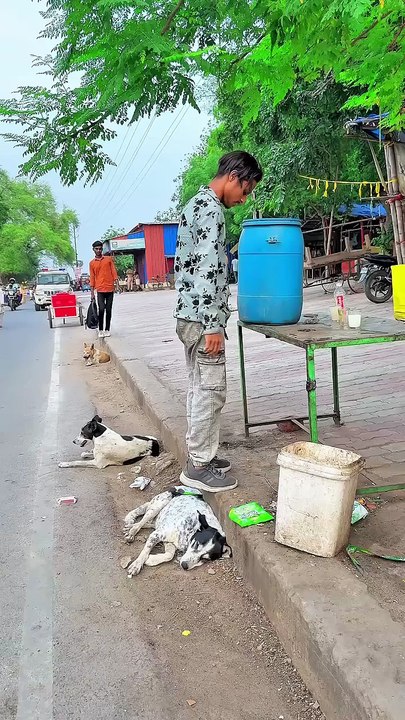 Dog🐶friendship speaks louder than words😭