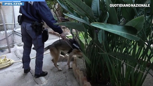 Duplice omicidio di due bambini, giovane madre ai domiciliari