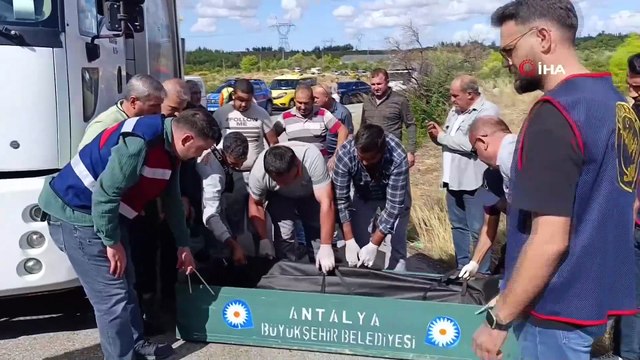 Antalya'da çöp kamyonunda korkunç cinayet: Mesai arkadaşını boğazından bıçaklayarak öldürdü