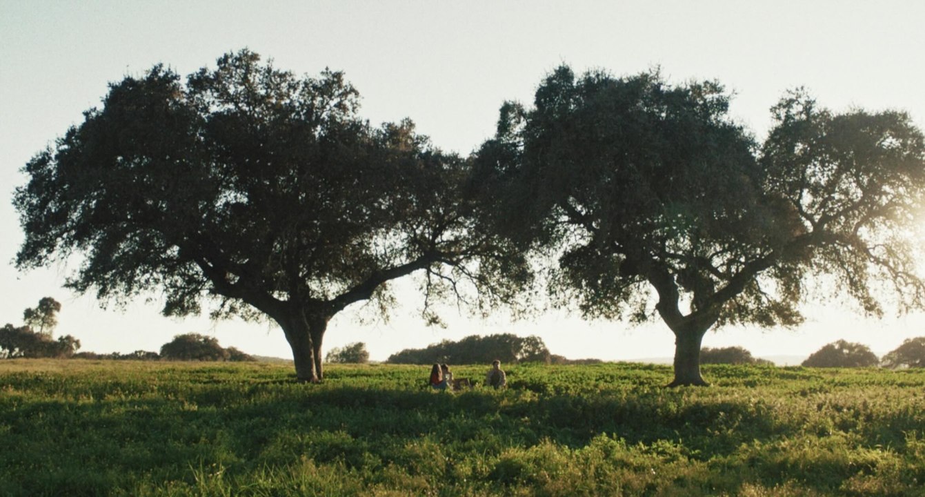 Naturaleza Extremadura - Junta de Extremadura