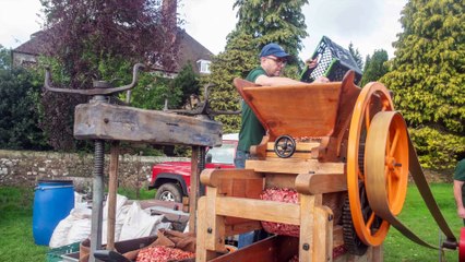 Gallery: Forest Showcase