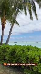 l'ÎLE MAURICE un endroit paradisiaque