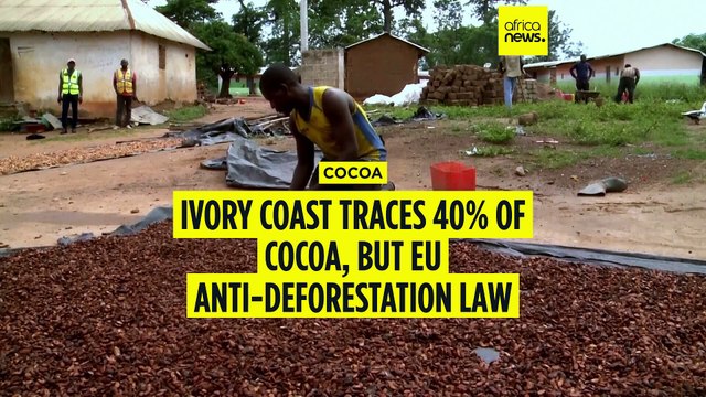Ivory Coast traces 40% of cocoa, But EU anti-deforestation law delayed