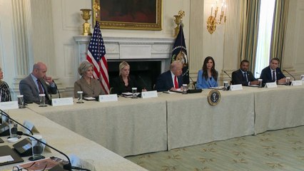 President Trump Action Plan on Terror Organization of ANTIFA