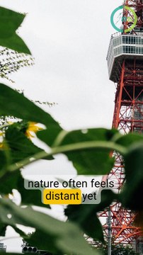 Reach Green – How Nature Heals the Mind and Strengthens Communities