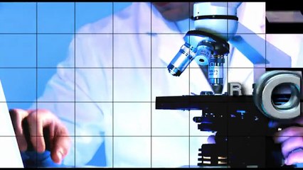 Salone Csr, Bonifazi (Lidl) ‘Necessaria trasformazione del settore alimentare’