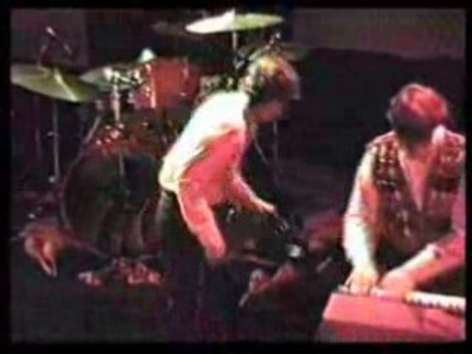 THE HYSTERIC NARCOTICS - THE STORY OF MY LIFE