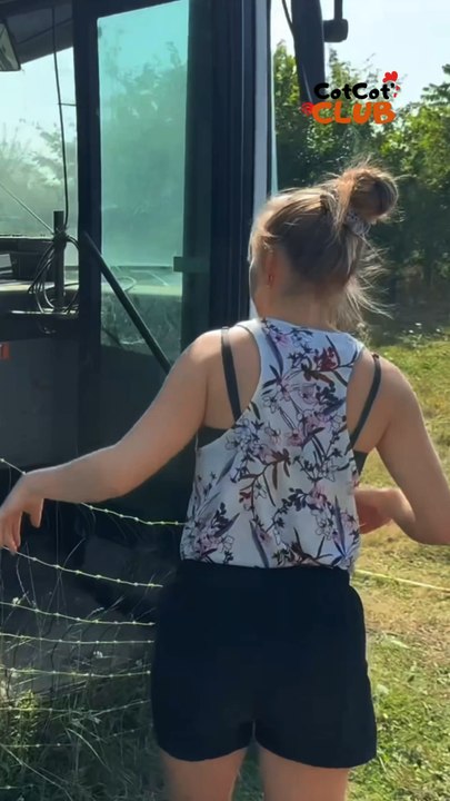 Découvrez le fameux « Cara-Poule », ce poulailler insolite installé dans un bus ! 🐔