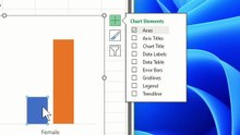 Male Female Ratio Infographics - Excel Tips and Tricks