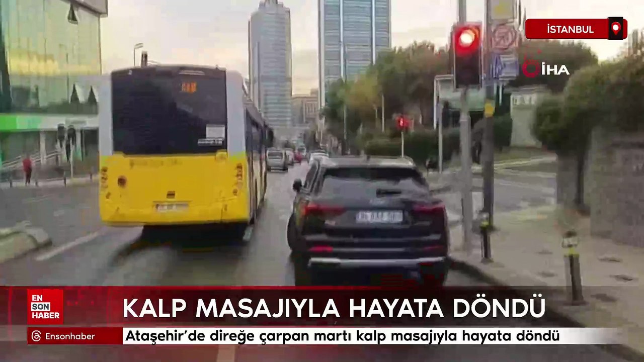 İstanbul Ataşehir'de direğe çarpan martı kalp masajıyla hayata döndü