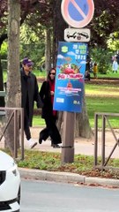 Harry Styles strolls with zoe kravitz in Paris