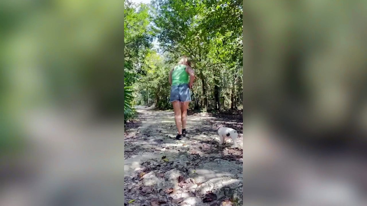 Couple rescue dog from Mexico