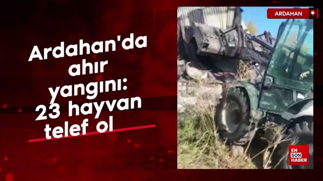 Ardahan'da ahır yangını: 23 hayvan telef oldu