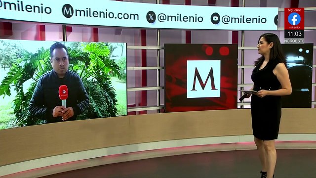 Hallan restos humanos envueltos en plástico y cobijas en Amozoc, Puebla