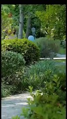 Obsession (2013) - Full HD Uncut Movie | Watch Now