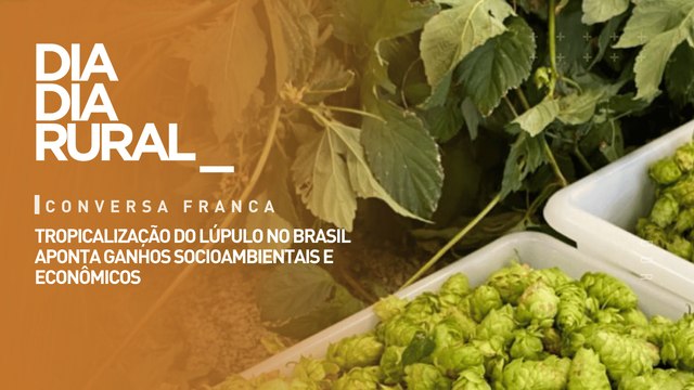 Tropicalização do lúpulo no Brasil aponta ganhos socioambientais e econômicos