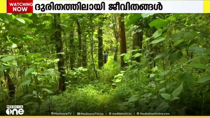 വയനാട് കടച്ചിക്കുന്ന് പരപ്പൻപാറ ഉന്നതിയിലെ കുടുംബങ്ങളുടെ ജീവിതം ദുരിതത്തിൽ