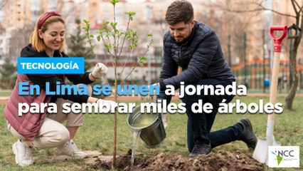 En Lima se unen a jornada para sembrar miles de árboles