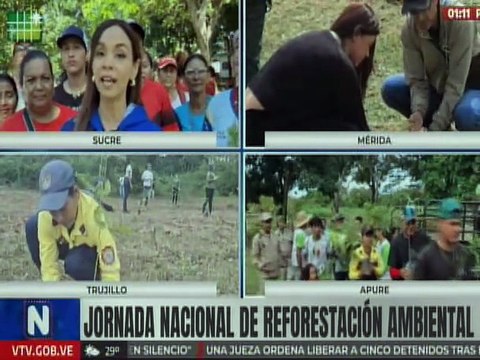Sucre | Brigadas comunitarias se suman a la Jornada Nacional de Reforestación Ambiental