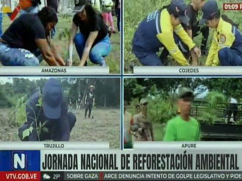 Amazonas | Poder popular y equipos ecosocialistas siembran más de 500 plantas en Puerto Ayacucho