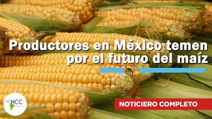 Productores en México temen por el futuro del maíz | 803 | 13 al 19 de octubre 2025