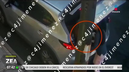 VIDEO: Mujer abandona a un perrito en CDMX