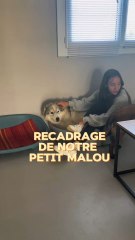 Trop hâte de retrouver la Toun, demain je vous montre 🤩🐻‍❄️