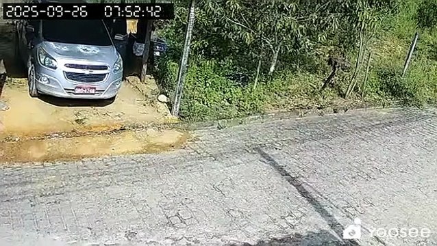 PC divulga imagens de homicídio de irmãos em Joaquim Gomes