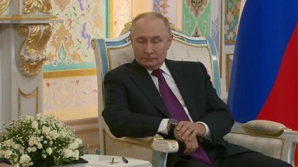 푸틴 "트럼프의 가자 평화 계획 실현되기를 바라" / YTN