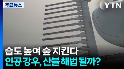 습도 높여 숲 지킨다...인공 강우, 산불 예방 열쇠될까? / YTN