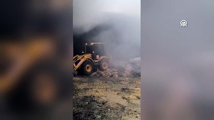 Bursa\'da ahırda yangın: 170 küçükbaş hayvan telef oldu