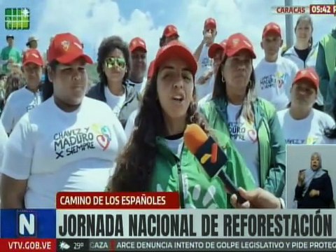 Movimientos sociales y ecologistas realizaron jornada de reforestación en el Camino de los Españoles