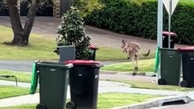 Welcome to Australia