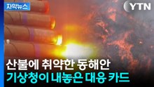 [자막뉴스] 비행기에서 뿌린 '빗방울 씨앗'?...산불 잡는 새로운 기술 될까 / YTN