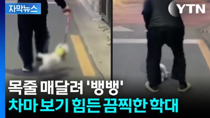 [자막뉴스] "마음대로 도망가나 XX야"...잔혹한 학대에도 기막힌 처벌 / YTN