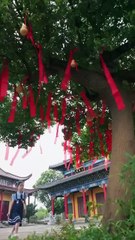 Forced to sleep with a stranger, he’s allergic to women yet addicted to my touch