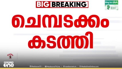 'സ്വർണപാളി വിറ്റിരിക്കാം'; ചെന്നൈയിൽ സ്വർണം പൂശാനെത്തിച്ചത് പുതിയ ചെമ്പ് പാളി