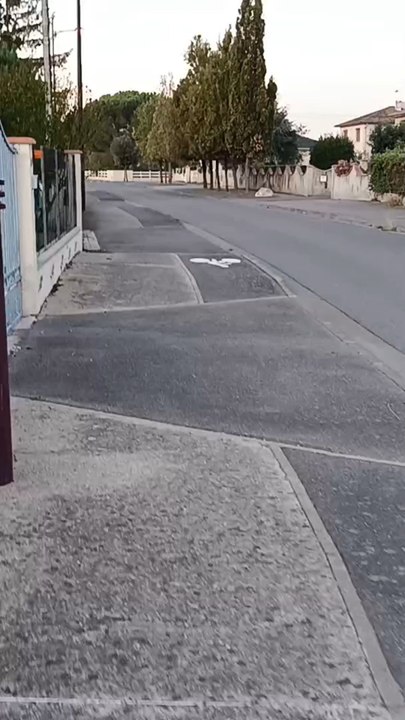 France Street 2025