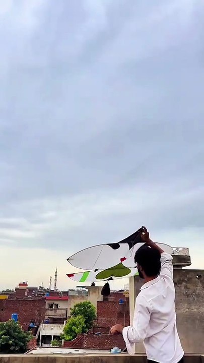 Bom Bom  Kite Flying on the Roof