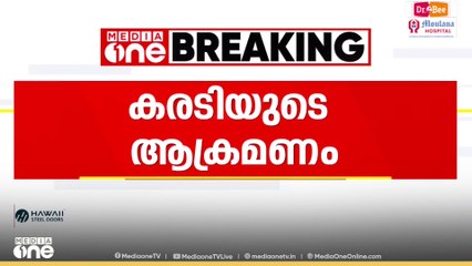 വാൽപ്പാറയിൽ കരടിയുടെ ആക്രമണത്തിൽ യുവാവിന് പരിക്കേറ്റു