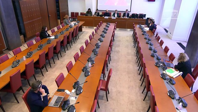 Baisse de la natalité en France : Mme Anne Cécile Violland, députée, et Mme Pascale Martin, ancienne députée, co-auteures du rapport sur la santé mentale des femmes - Jeudi 9 octobre 2025