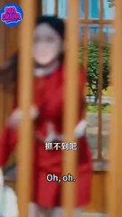 Reborn, She Was Taken Home and Doted on by a CEO Chinese Drama ENG Sub