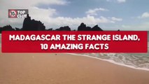 Madagascar The STRANGE ISLAND, 10 Amazing Facts _ Madagascar Country - Top10sClub