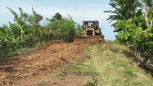 The Bulldozer D6R XL's Action in Reviving Old Roads in the Plantation