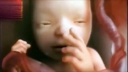 İnsan Neden Yaratıldığına Bir Baksın!  Türkçe Kuran Ayet Mealleri