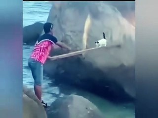 Il sauve un chat piégé par la marée mais il n'est pas si sympa que ça