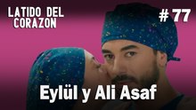 Eylül y Ali Asaf #77 - Latido Del Corazon